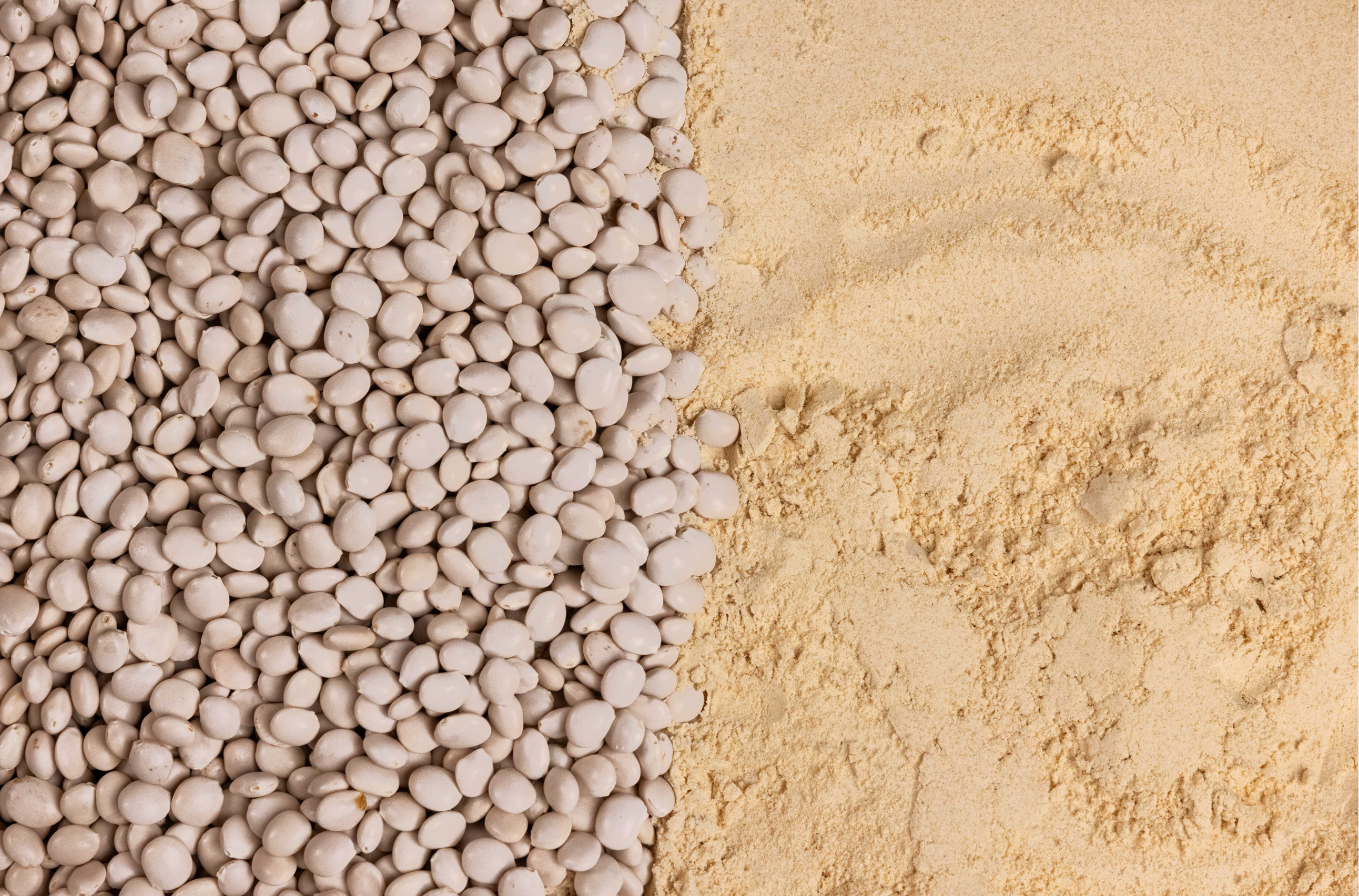 Why do plant proteins bloat you?