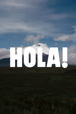 The power of chocho: This Latin founded brand brings the next big superfood grown in Ecuador