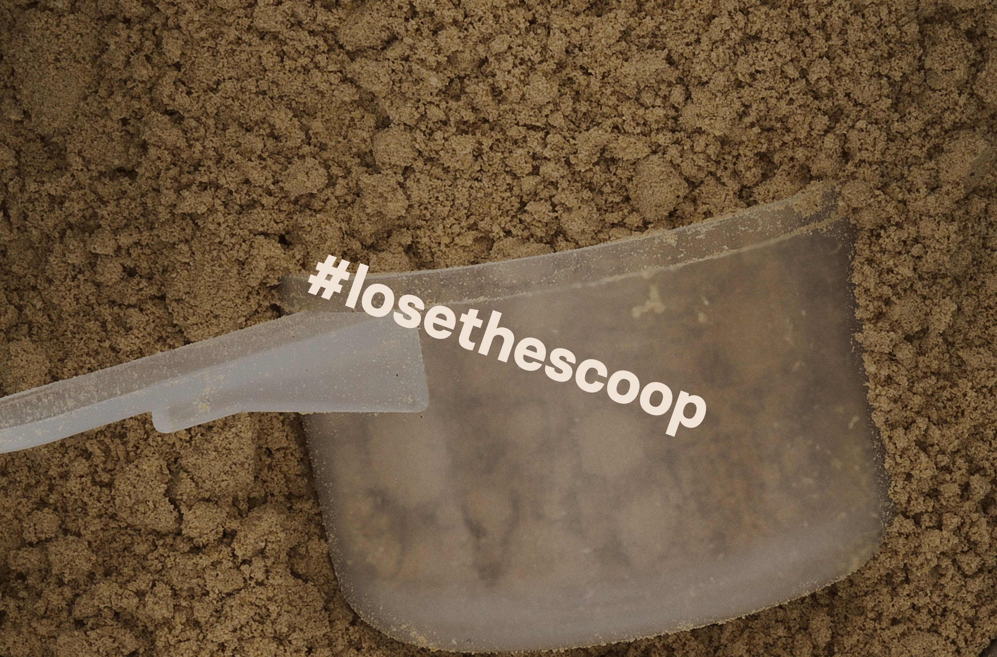 Our Regenerative Journey: #losethescoop