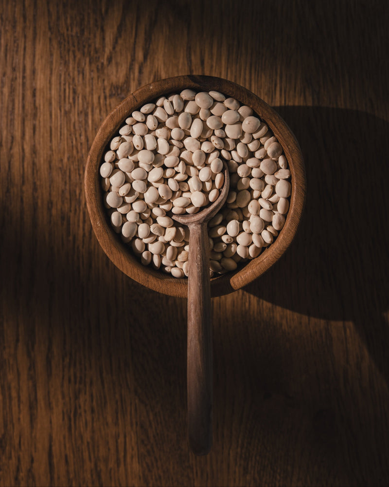 Chocho vs. Pea Protein Powder: A Digestive-Friendly Alternative for Optimal Nutrition - MIKUNA