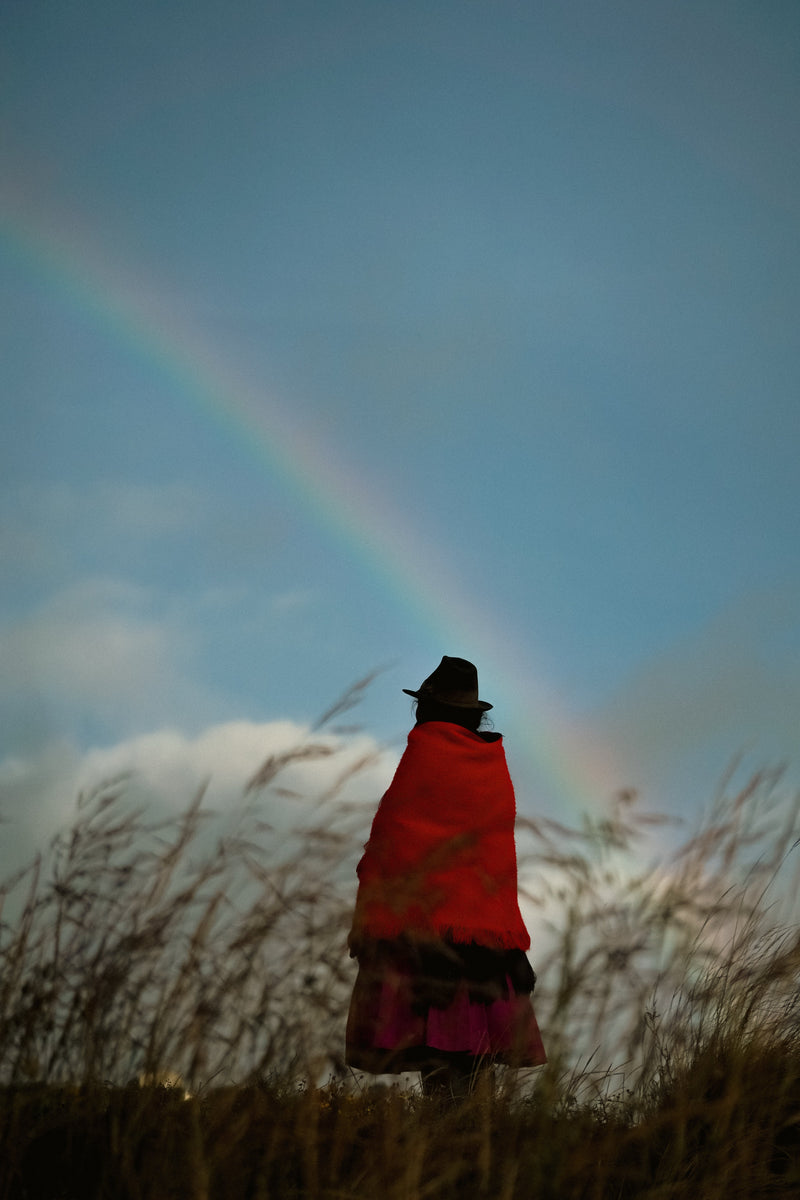 Regenerative Protein: How Chocho Regenerates Soil, Supports Farmers, and Protects the Andes
