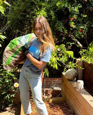 Soundfood: The Inca Super Protein w/ Nitsa Citrine - MIKUNA