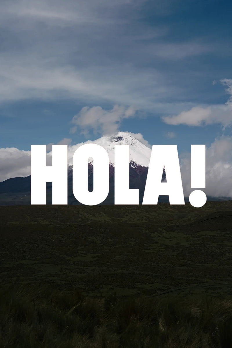 The Power of Chocho — Mikuna Brings the Andes’ Hidden Superfood to You