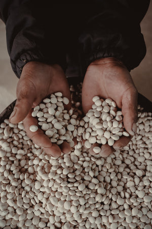 What Does Chocho Taste Like? — Flavor & Texture - MIKUNA