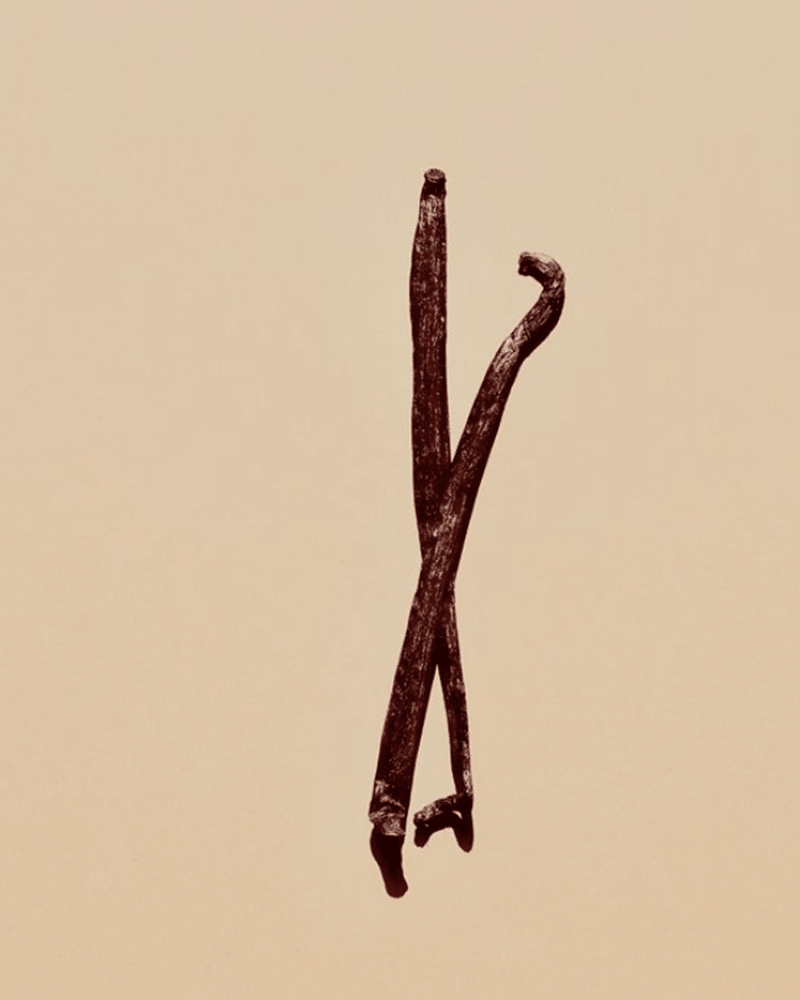 What Is Organic Vanilla Extract Powder? A Transparent Look