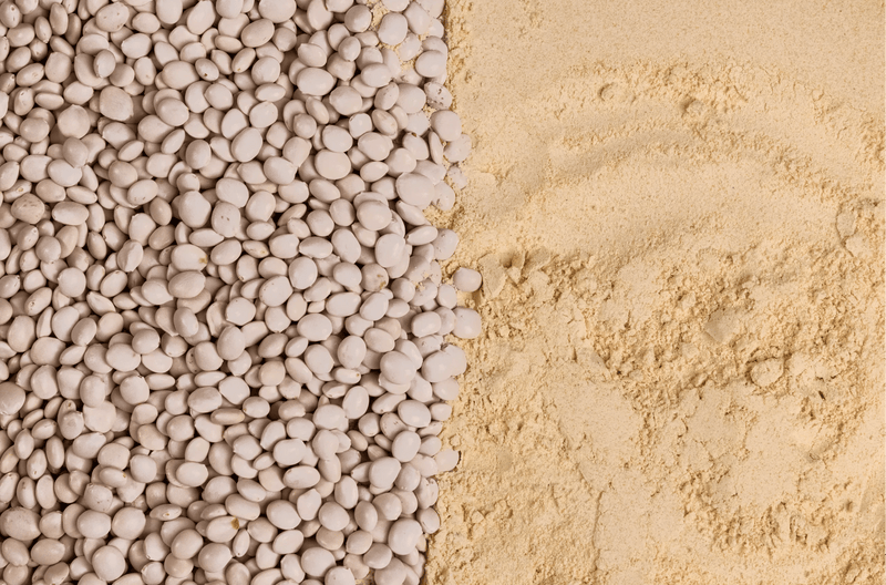 Why do Most Plant Proteins Bloat you?